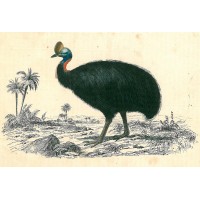 Picture 1