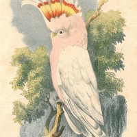 Picture 1