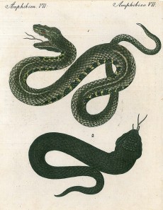 Picture 1