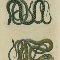 Picture 1