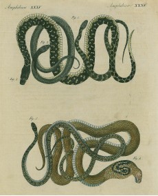 Picture 1