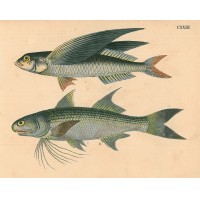 Picture 1