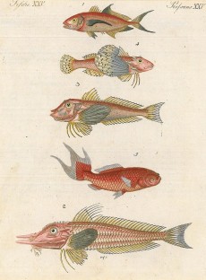 Picture 1