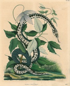 Picture 1