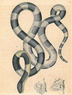 Picture 1