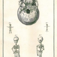 Picture 1