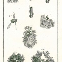 Picture 1