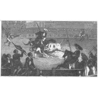 Picture 1