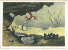 Picture 1