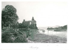 Picture 1