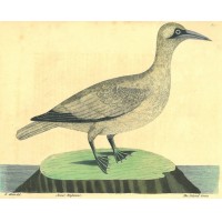 Picture 1