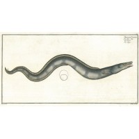 Picture 1