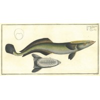 Picture 1