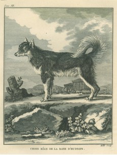 Picture 1