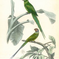 Picture 1