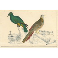 Picture 1