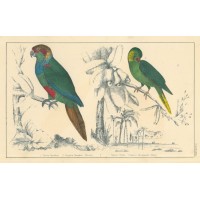 Picture 1