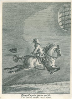 Picture 1