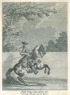 Picture 1