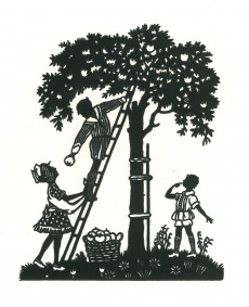Picture 1