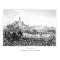 Picture 1