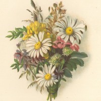 Picture 1