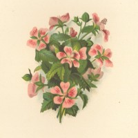 Picture 1