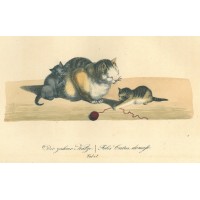KATZEN. Picture 1
