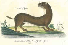 Picture 1