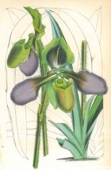 Picture 1
