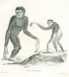 Picture 1