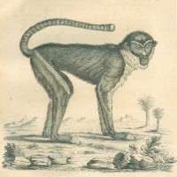 Picture 1