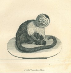 Picture 1