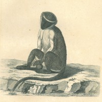 Picture 1