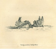 Picture 1