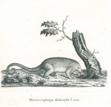 Picture 1