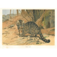 Picture 1