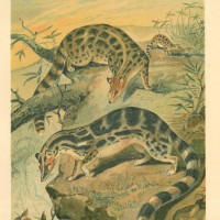 Picture 1