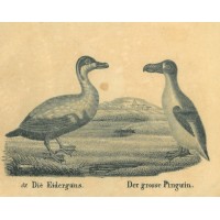 Picture 1