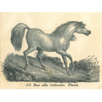 Picture 1