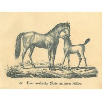 Picture 1