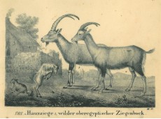 Picture 1