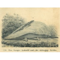 Picture 1