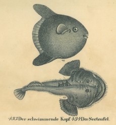 Picture 1
