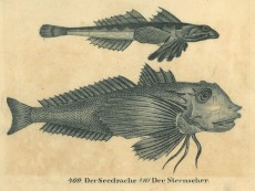 Picture 1