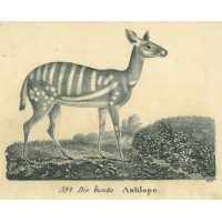 Picture 1
