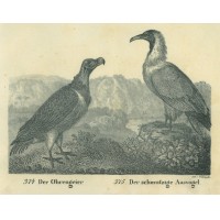 Picture 1