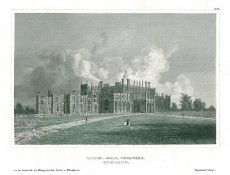 Picture 1
