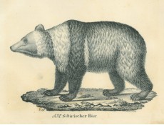 Picture 1