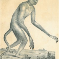 Picture 1